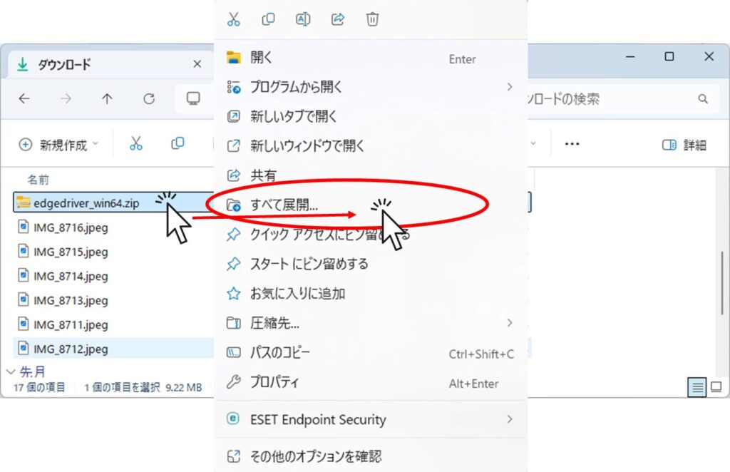 EdgeDriverのzipを展開する