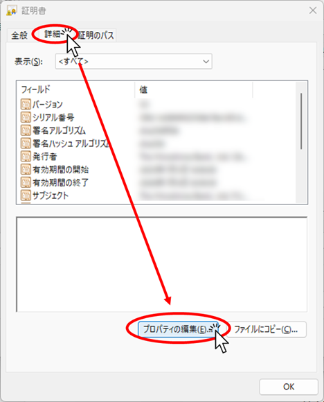 「詳細」タブの「プロパティの編集」をクリック