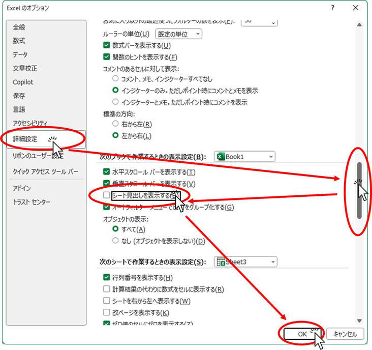 「シート見出しを表示する」のチェックを外す