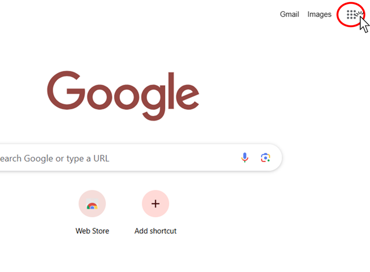 Google Search Screen
