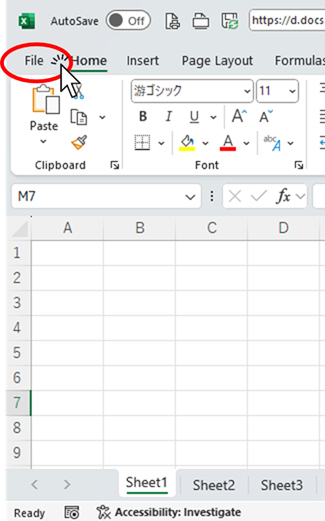 Click on the "File" tab