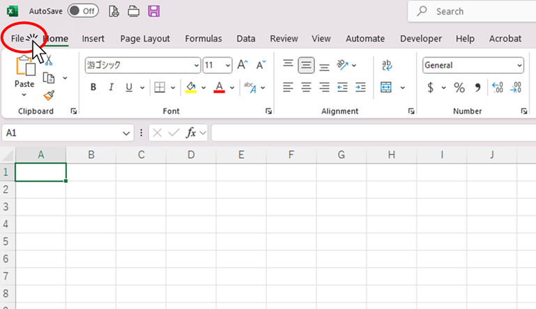 Click on the "File" tab