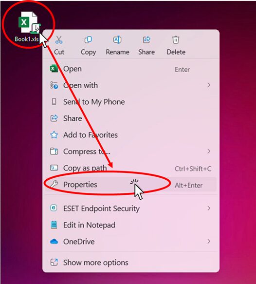 Open "Properties" from "right click" on the Excel file.