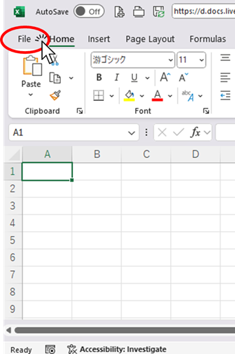 Click on the File tab