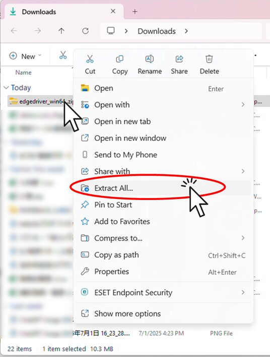 Extract the EdgeDriver zip