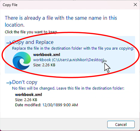 Click on "Copy and Replace."